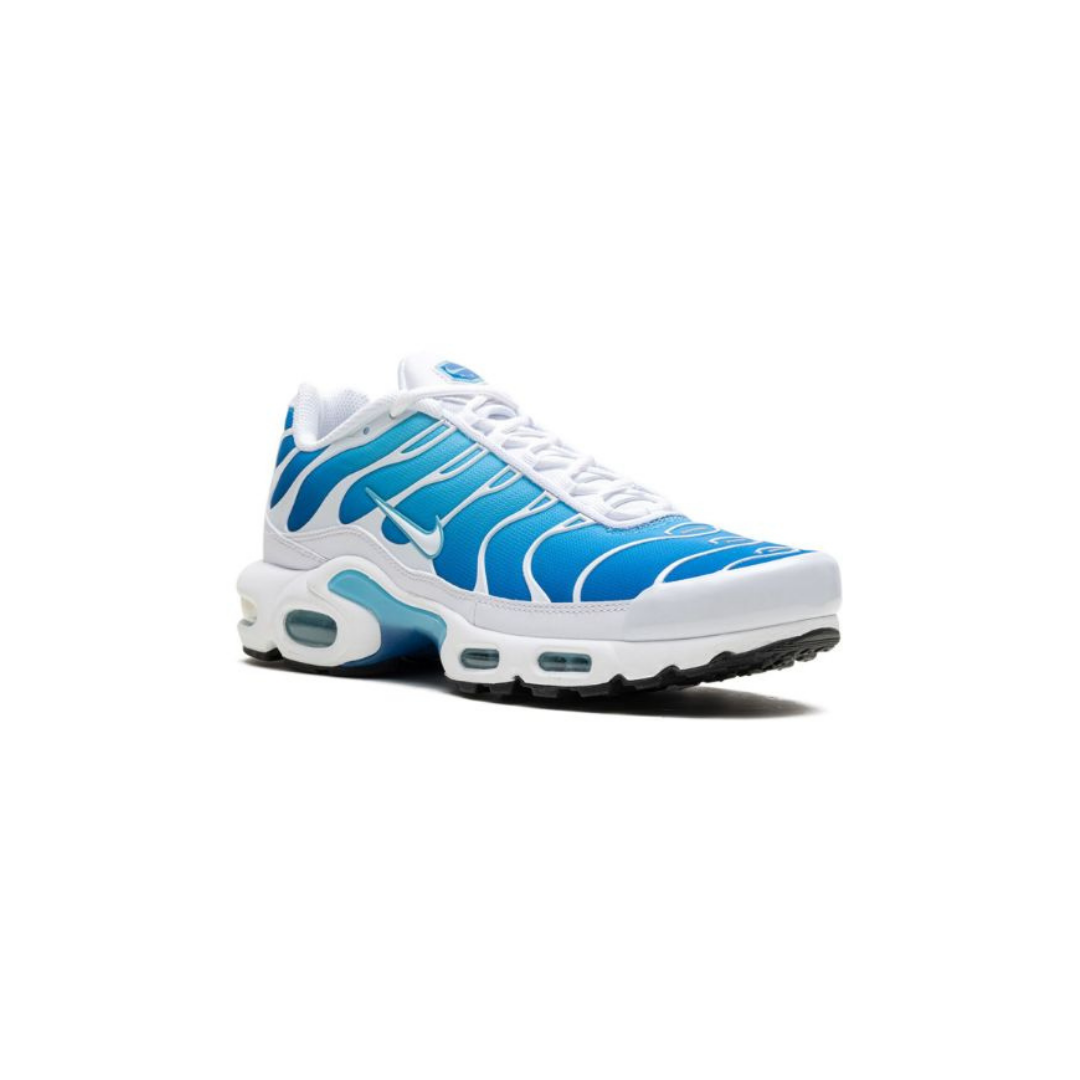 Nike Air Max Plus