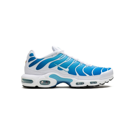 Nike Air Max Plus